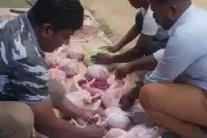 மானை வேட்டையாடியவர் இறைச்சியுடன் சிக்கினார் 