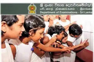 புலமைப்பரிசில் பரீட்சை பெறுபேறுகள் வெளியாகின
