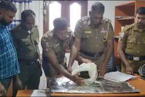 ஒன்றரைக் கிலோ கேரள கஞ்சாவுடன் புதுக்குடியிருப்பில் இளைஞன் கைது