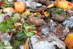 விலையோ உச்சம்: அழுகிக் குப்பைக்கு செல்லும் மரக்கறிகள்