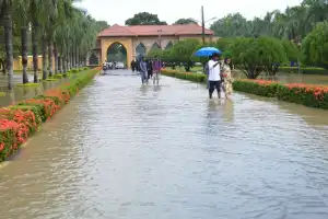 ஒலுவில் வளாகத்தின் கல்வி நடவடிக்கைகள் தொலைக்காணொலி ஊடாக நடத்தப்படும்