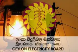 மின்சார சபை மறுசீரமைப்புக்கு எதிராக ஆர்ப்பாட்டம்: 17 பேர் பணியிடைநிறுத்தம்!