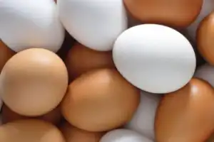 மட்டுப்படுத்தப்பட்ட முட்டை இறக்குமதி