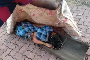 வவுனியாவில் ரயில் மோதி பெண்ணொருவர் உயிரிழப்பு