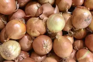இலங்கையில் விற்கப்படும் சீன பெரிய வெங்காயம்