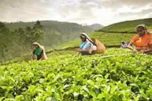 2 ஆவது தடவையாக பேச்சுக்கு வராத முதலாளிமார் சம்மேளன பிரதிநிதிகள்