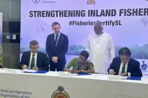 3 மில்லியன் அமெரிக்க டொலர் நிதியுதவியை வழங்கும் ஜப்பான்