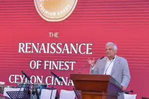 'விவசாயத்திற்கு அதிக பங்களிப்பை வழங்க திட்டம்' 
