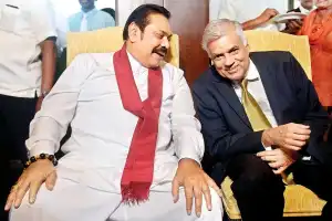 மொட்டுவின் ஜனாதிபதி வேட்பாளராக ரணில் களமிறங்கினால் பேராதரவு: எம்.பிக்கள் தெரிவிப்பு