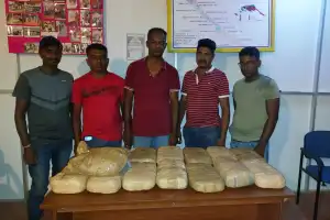 வவுனியா பொலிஸாரால் மருதங்கேணியில் 30 கிலோ கேரள கஞ்சா மீட்பு; இருவர் கைது!