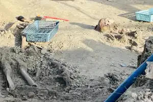 செம்மணியில் நேற்றும் 7 எலும்புக்கூடுகள் அடையாளம்