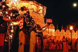 ஸ்ரீ தலதா மாளிகை எசல பெரஹரா 25 ஆம் திகதி ஆரம்பம்!
