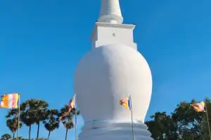 இராணுவத்தின் இன அழிப்பு முகத்தின் மற்றுமொரு கோரமே தையிட்டி விகாரை என  தமிழ்த் தேசிய மக்கள் முன்னணி சாடல்