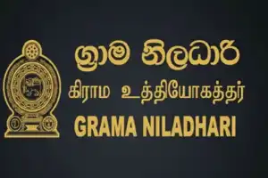 புயல் நிவாரண நிதி முறைகேடு குற்றச்சாட்டு - மொனராகலையில் அதிகாரி பணிநீக்கம்