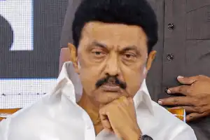 விசில் அலையில் வீழ்ந்த முதலமைச்சர் மு.க. ஸ்டாலின் உள்ளிட்ட அமைச்சர்கள் விபரம் 