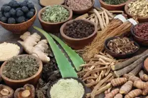 மலையகத்தில் சித்த மருத்துவ சேவைகளை விரிவுபடுத்த கோரிக்கை