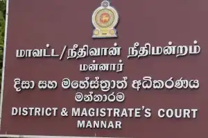 இலங்கை கடற்பரப்பில் கைது செய்யப்பட்ட 9 இந்திய மீனவர்கள் விடுதலை